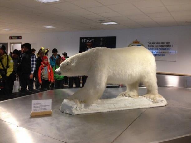 Flygplatsen uppfyller alla resande symbol för staden - isbjörnen.