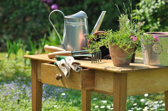 Användbara tips för nybörjare trädgårdsarbete eller våren i trädgården