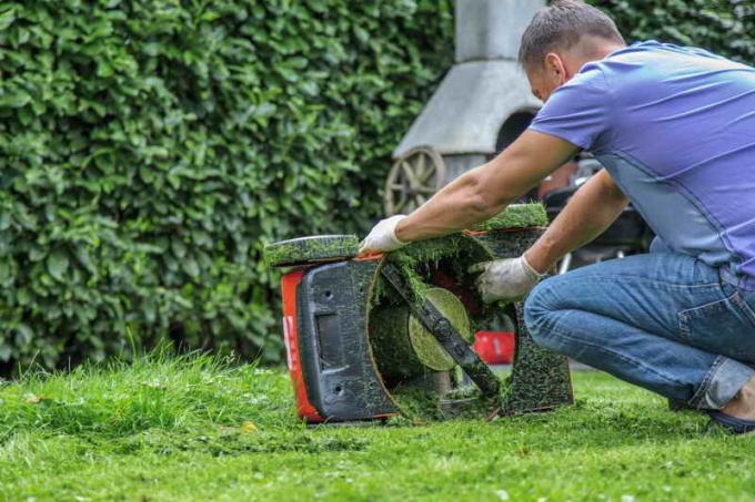 I inget fall kan inte klippa gräset med ett trubbigt instrument. Foto används under standard licens © ofazende.ru