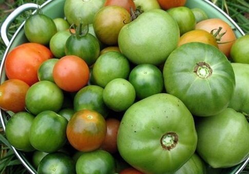 Som jag Bevara gröna tomater för vintern. En läcker recept