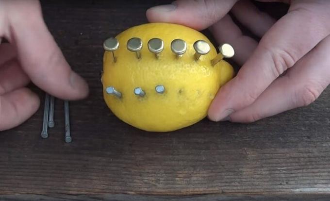  Lemon - en mystisk citrus som kan tillfredsställa inte bara vitaminer. / Foto: s1.dmcdn.net. 