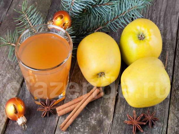 Användbara drink i form av juice som både vuxna och barn © ofazende.ru