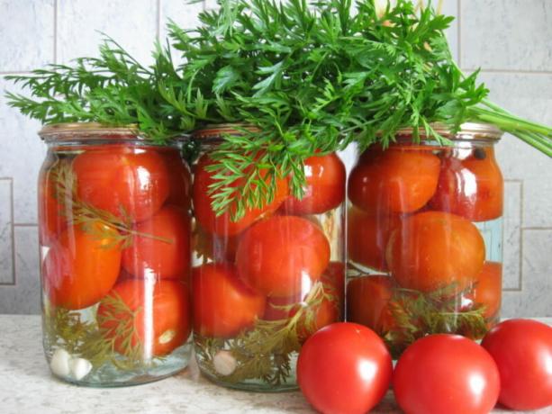 Konserverade tomater med morot toppar har en ovanlig smak. Illustration för en artikel används för en standardlicens © ofazende.ru
