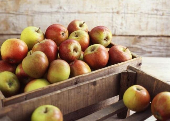 Mina "hemligheter" av långtidsförvaring av äpplen. 3 effektiv metod
