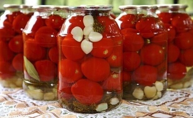 Vad är användningen av inlagda tomater och till vem de kan kontraindicerad
