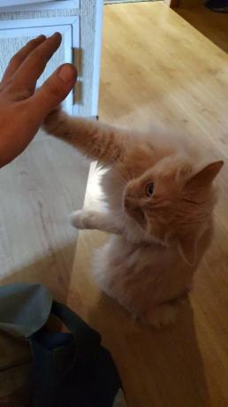 High five.