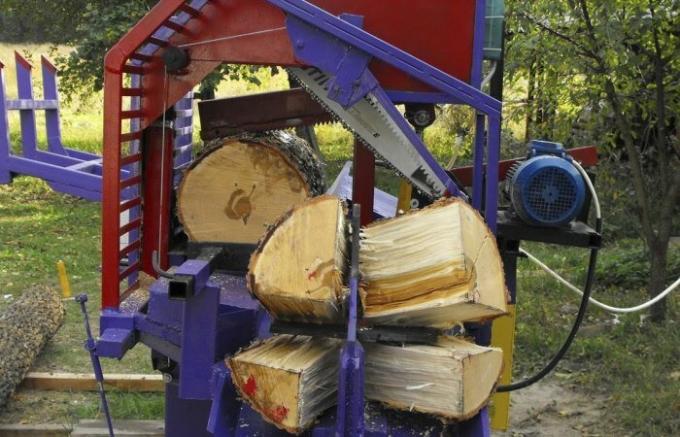 Liksom i Europa, är skogen klippa och hackad ved: skådespel, som kommer att bedöma alla skogsarbetare