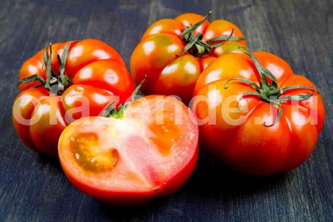 Hur man påskynda mognaden av tomater