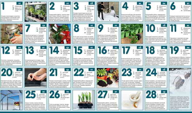 Kalender trädgårdsmästare