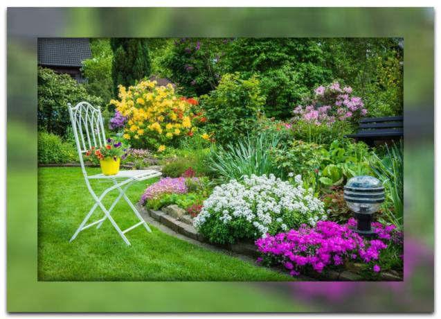 5 okomplicerad växt för "lata" trädgård, som tar hand om skönheten i din webbplats själv