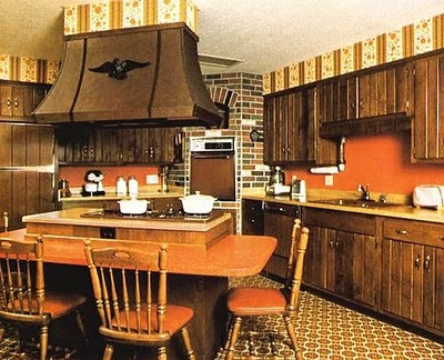 Föreställ dig hur dyster det här köket skulle vara utan ljusa orange fläckar.