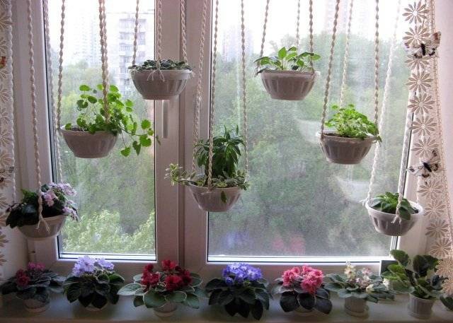 Original fönster dekoration med växter
