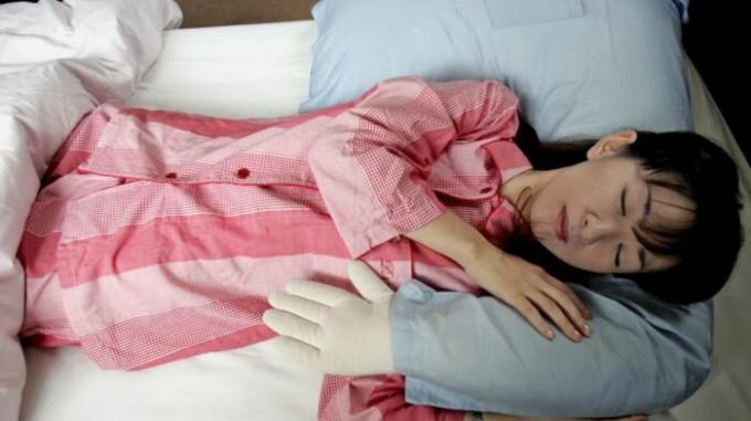 Ensamstående kvinnor har inte heller mycket upprörd om de har en sådan kudde. / Foto: i.kinja-img.com