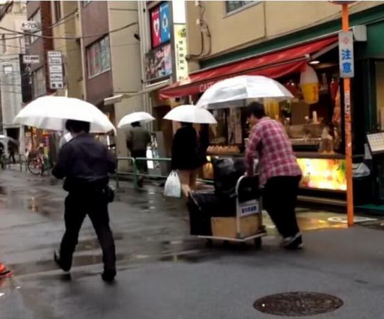 Transparenta paraplyer är mycket populära i Japan.