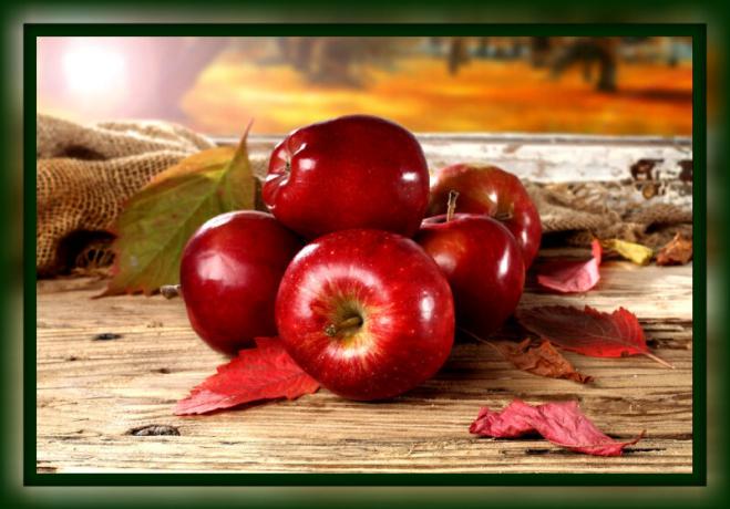 Hur man håller äpplen frisk för vintern hemma