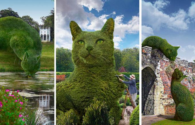 Buskar i form av katter i Storbritannien parker.