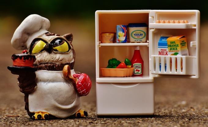 Kan kylskåpet stå bredvid spisen: fördelar och nackdelar