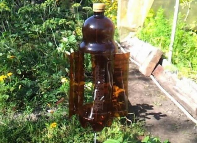 Användbara användning av plastflaskor i trädgården (del 2)